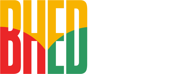 Black Health Equity Day